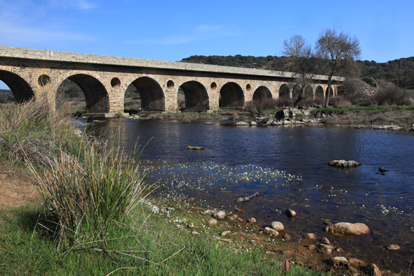 Brug over de Almonte